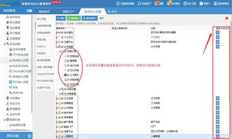 买断式的系统有内外网管控权限更符合用户长远利益